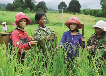 Phân bổ vốn ngân sách tại địa phương để xây dựng nông thôn mới và giảm nghèo bền vững giai đoạn 2026–2030
