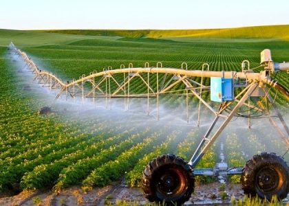 Phát triển nông nghiệp địa phương thời kỳ chuyển đổi số: Kinh nghiệm từ úc và giá trị tham khảo cho Việt Nam